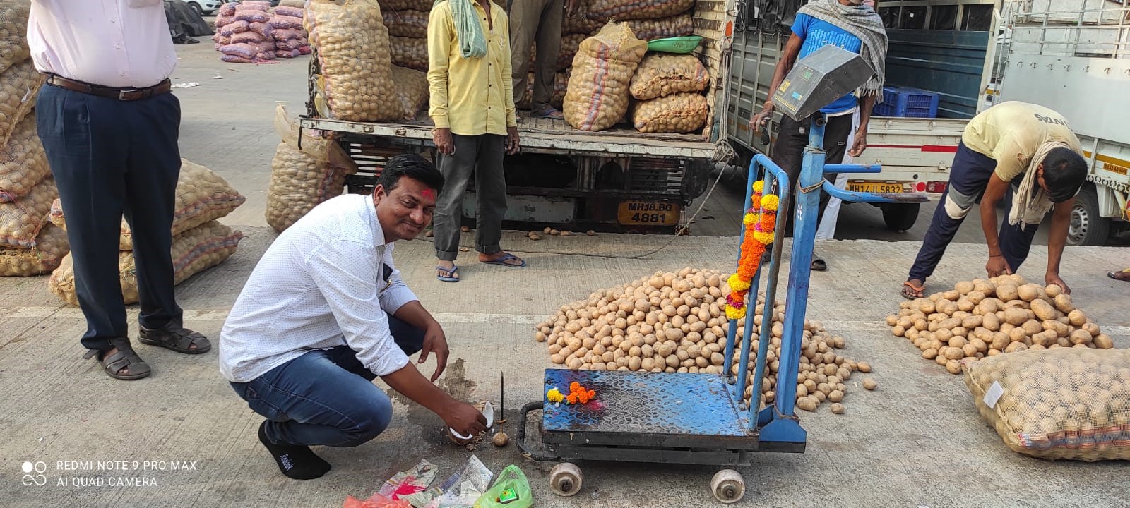 India potato markets