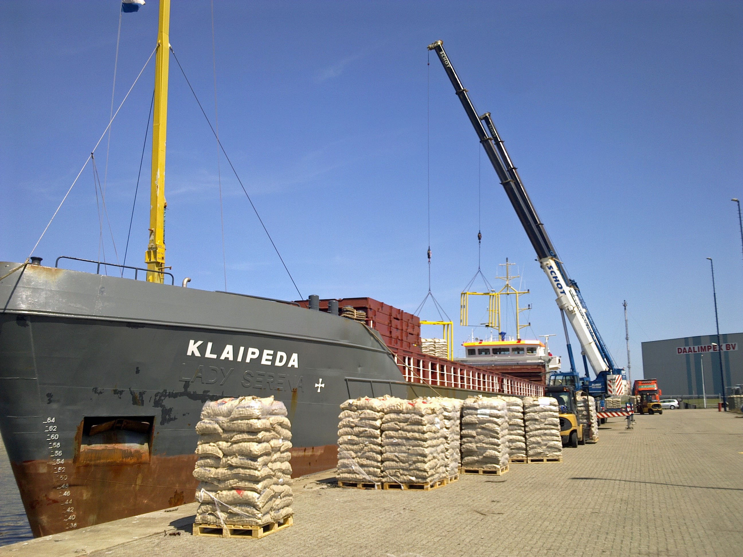 Shipment of seed potatoes at the harbor